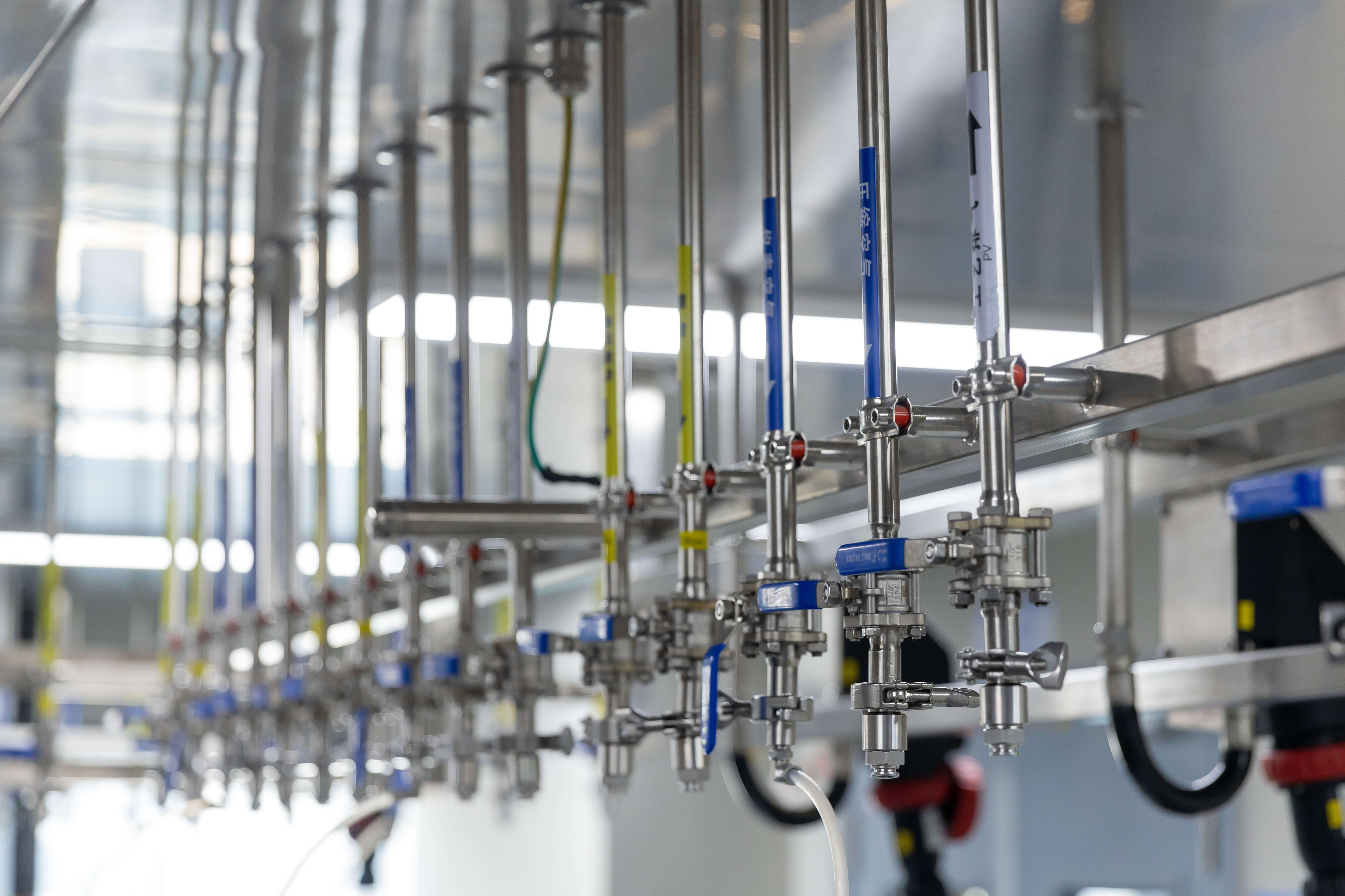 Drug Substance Manufacturing