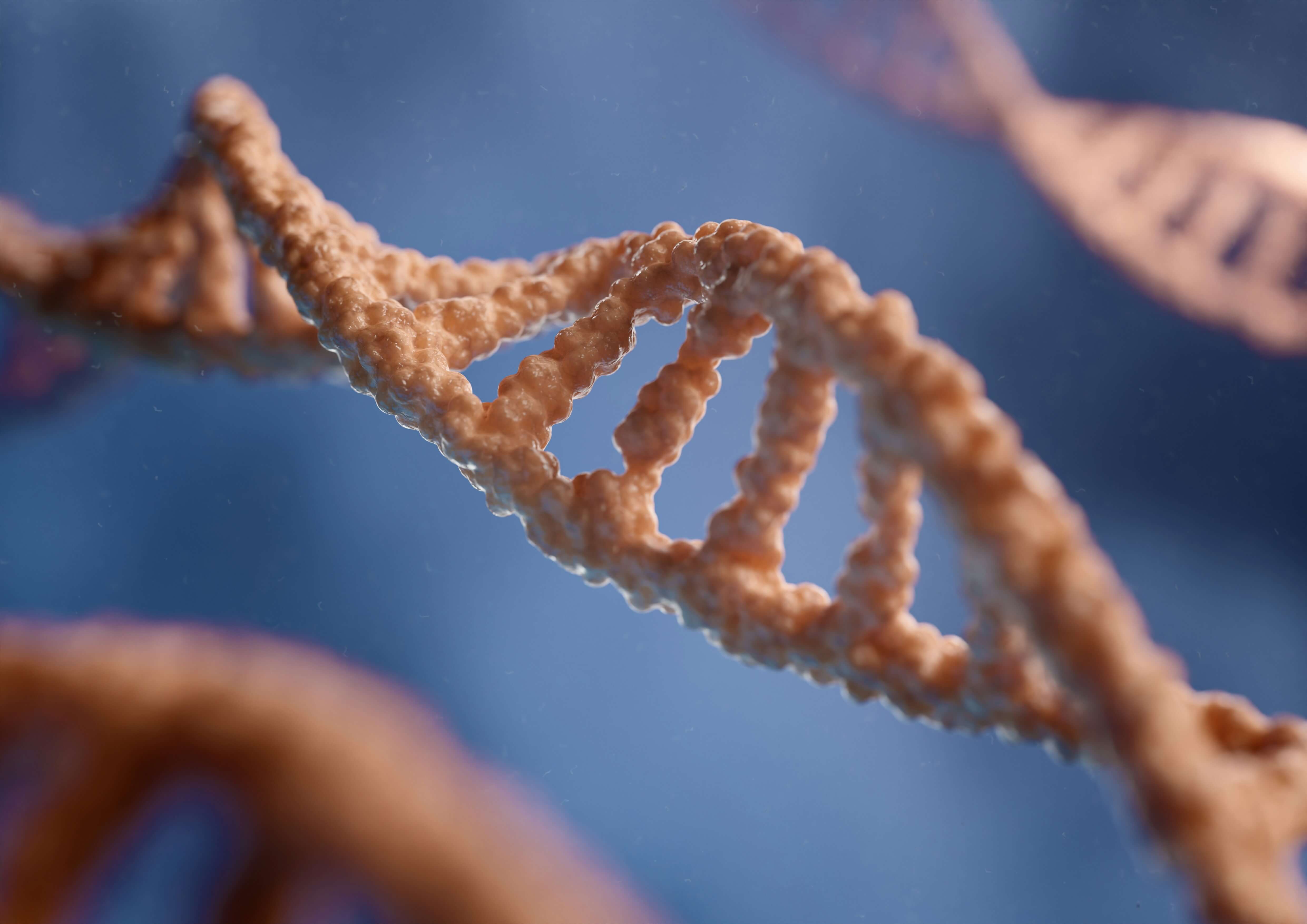 Digita Dna (1)