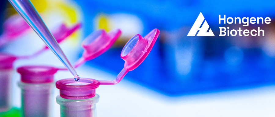 Sirna Ligation Case Study