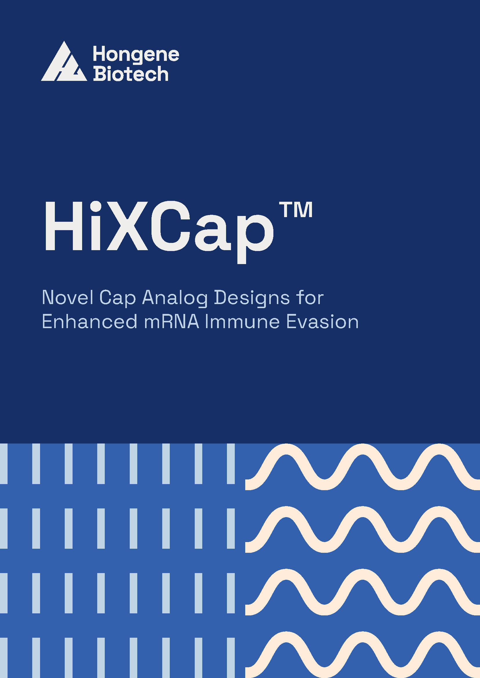 Hongene Hixcap Brochure 01
